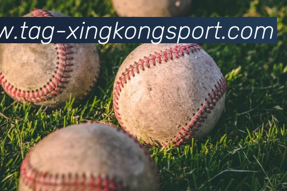 星空体育平台生态图